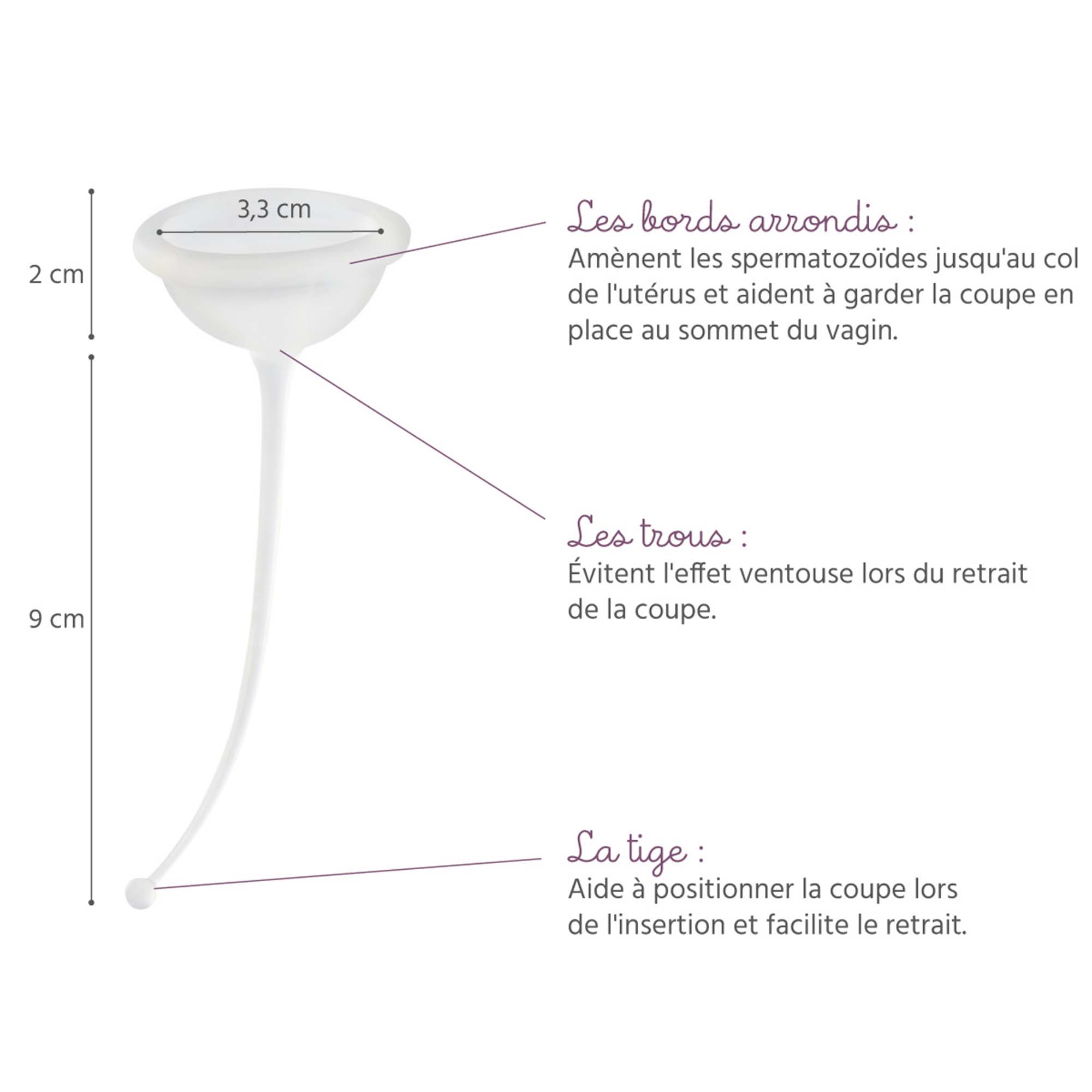 Détails de la coupe de conception